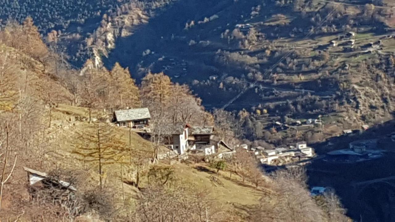 Chalet La Paz With Hotpot And Sauna Villa Törbel Eksteriør billede