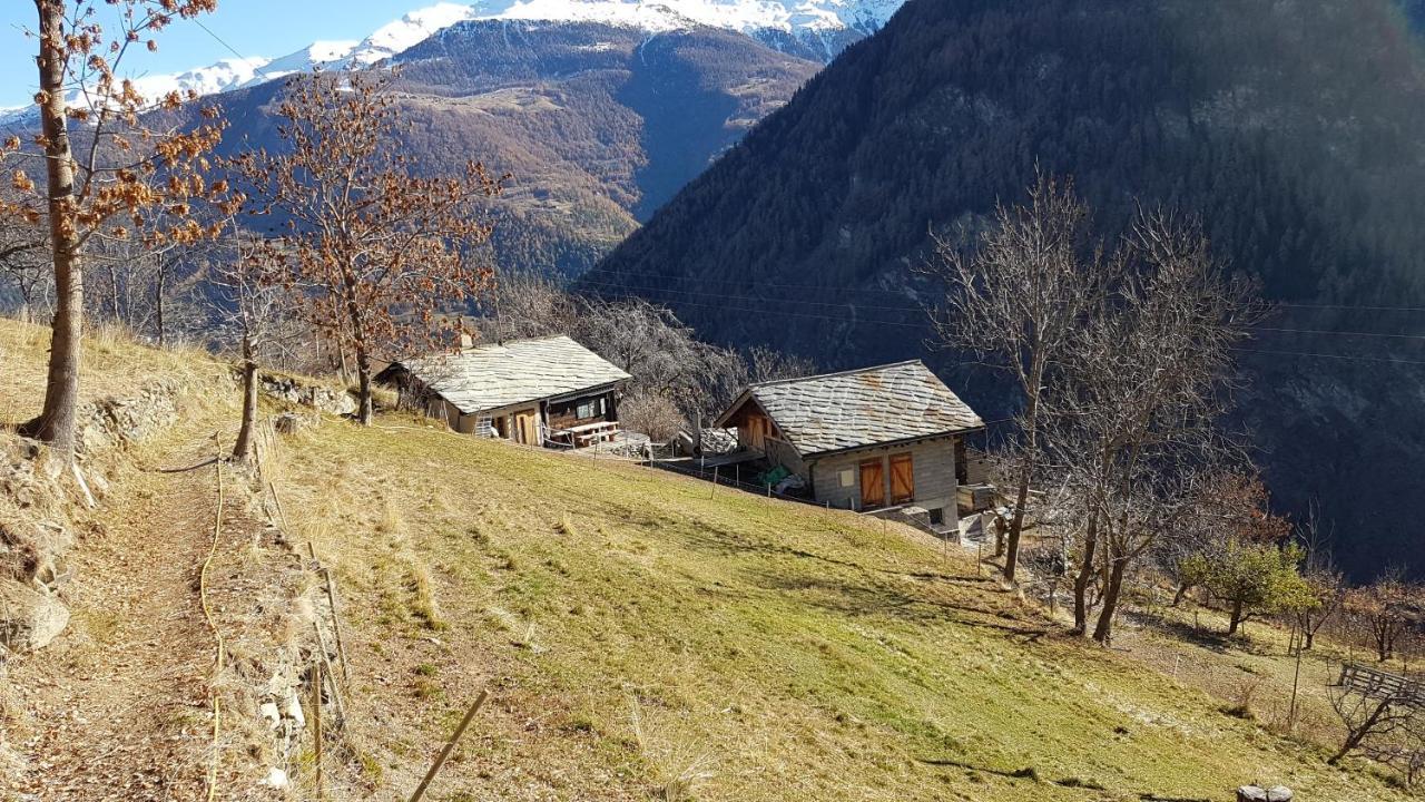 Chalet La Paz With Hotpot And Sauna Villa Törbel Eksteriør billede