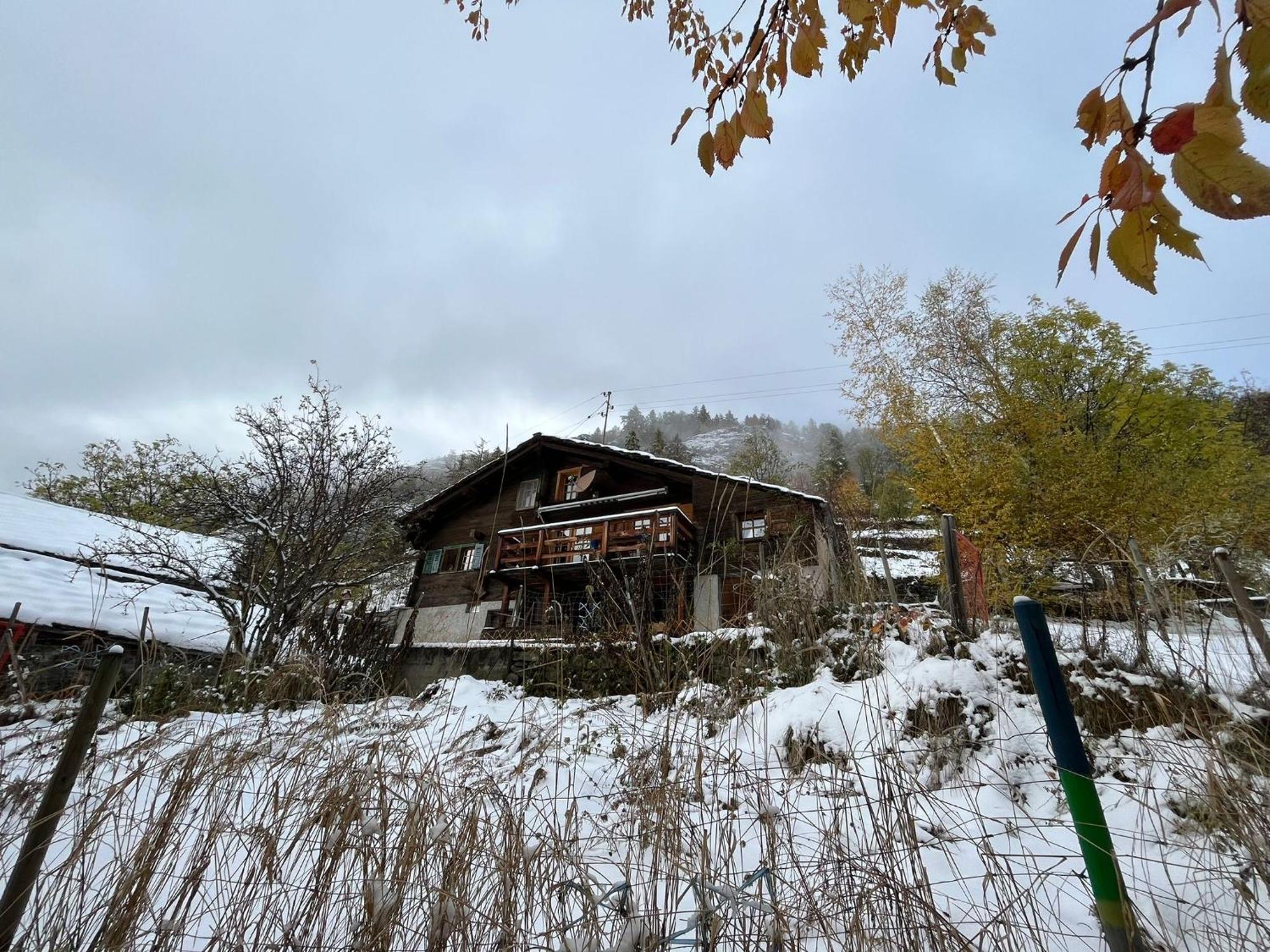 Chalet La Paz With Hotpot And Sauna Villa Törbel Eksteriør billede